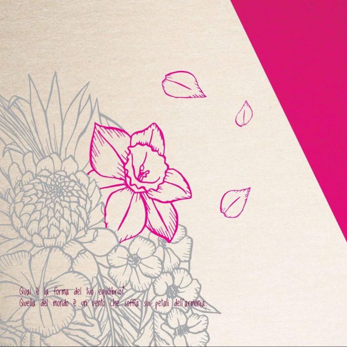 Qual è la forma del nostro equilibrio?